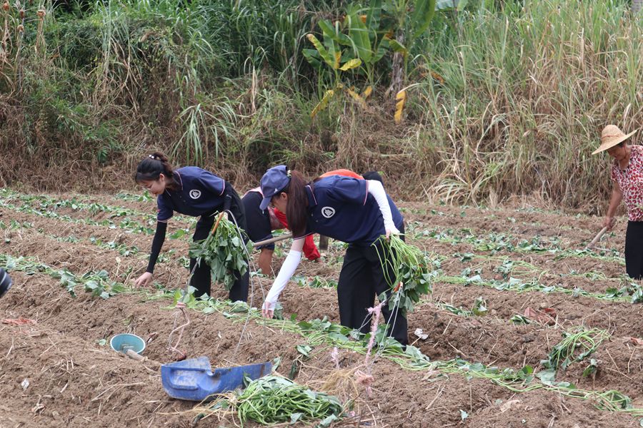 9428cn太阳集团古天乐